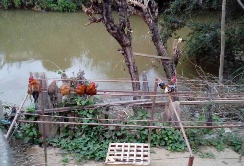 ホテル Nino S Pousada