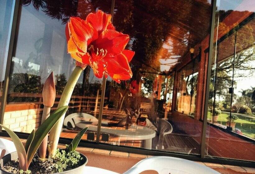 Hotel Pousada Piccolo Refuggio