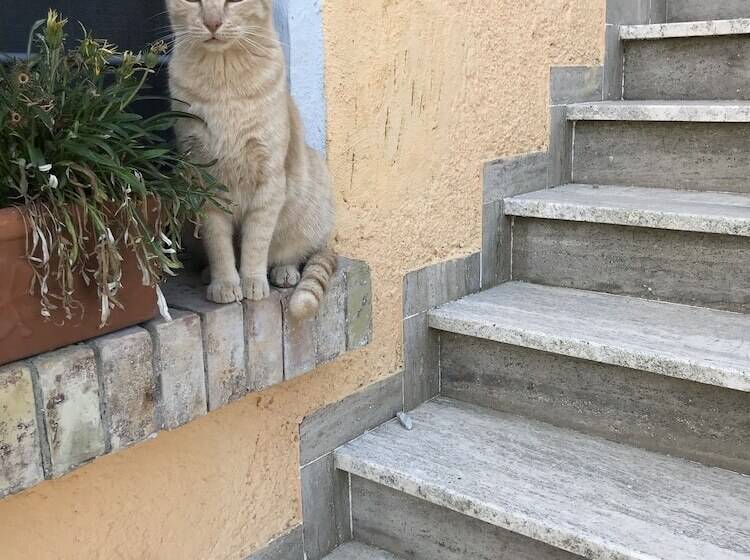 בית מלון כפרי Agriturismo Santa Lucia
