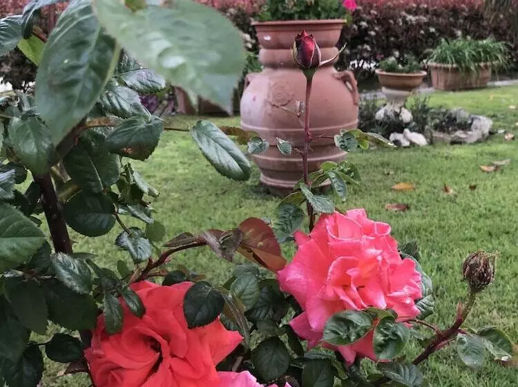 田舎風ホテル Agriturismo Santa Lucia