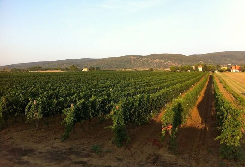 בית מלון כפרי Agriturismo Santa Lucia