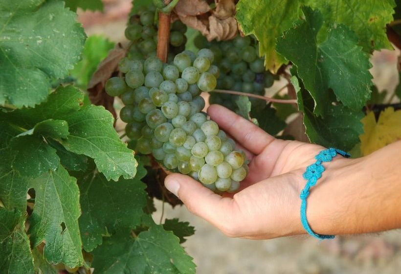 בית מלון כפרי Agriturismo Santa Lucia