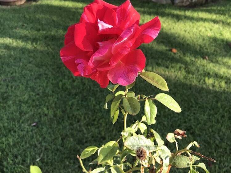 בית מלון כפרי Agriturismo Santa Lucia