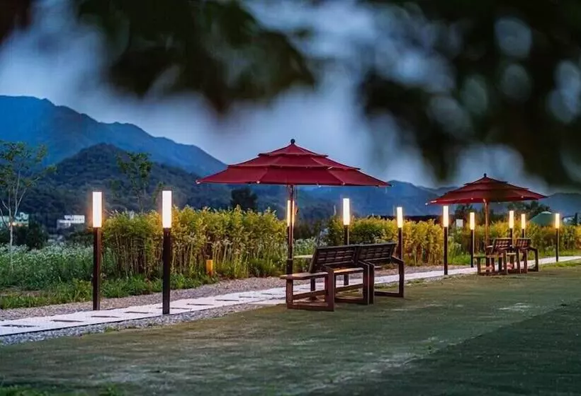 Milky Way Pension
