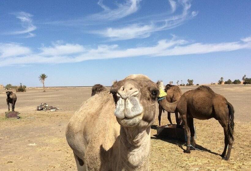 Pension Hoshizora Sabaku Camp