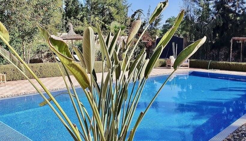 بنسيون La Maison Des Ailleurs