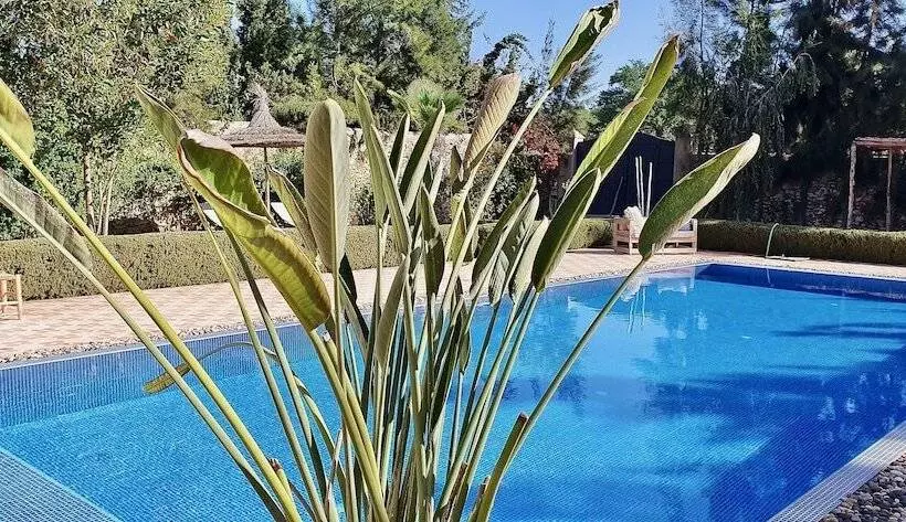 ペンション La Maison Des Ailleurs