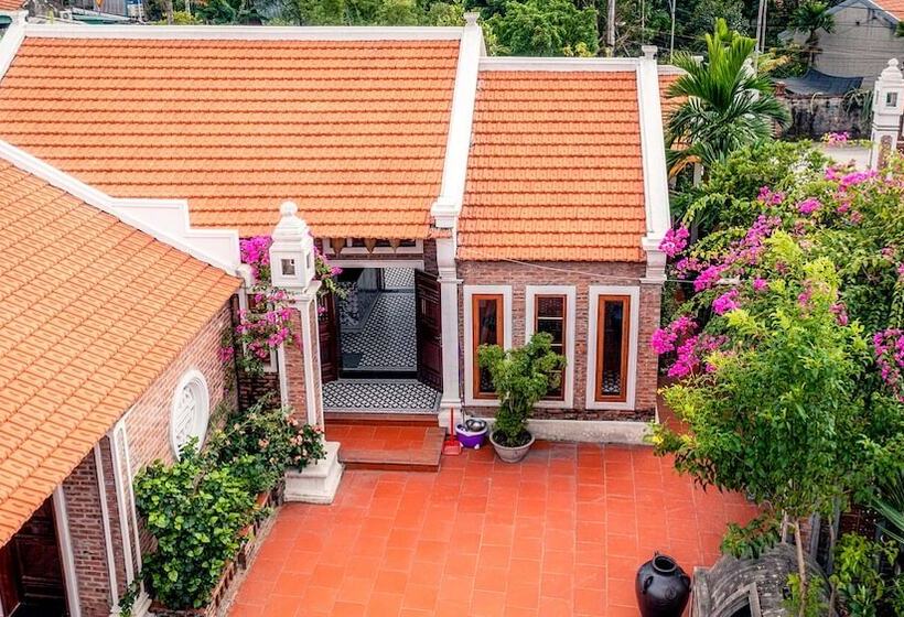 پانسیون Paddy Home