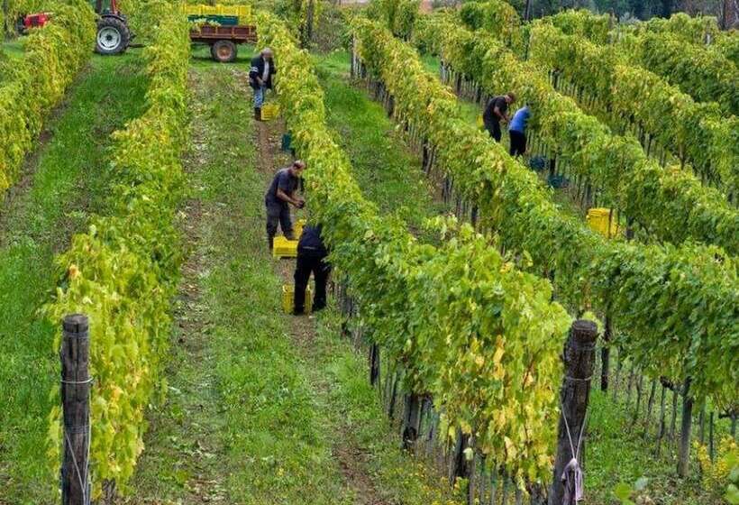 Plush Farmhouse In Bacchereto With Swimming Pool