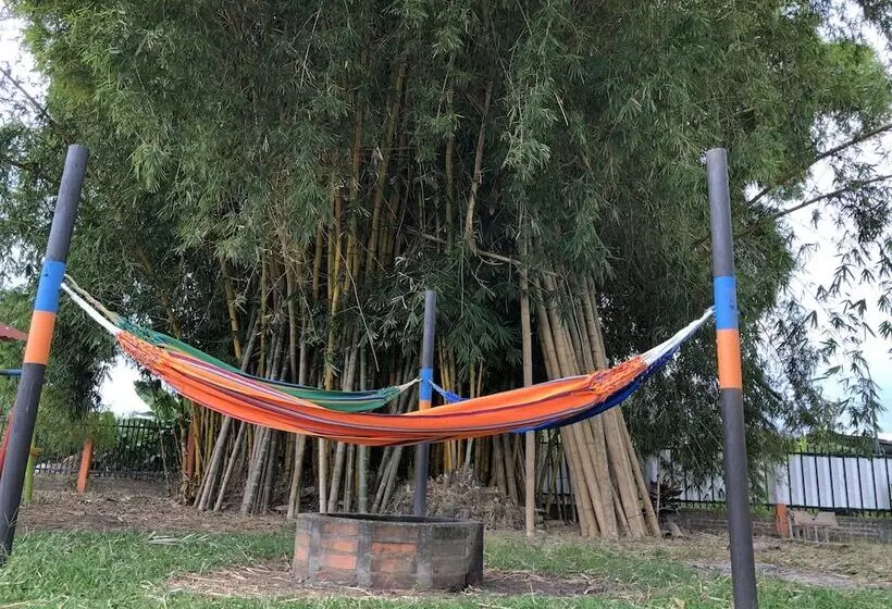 ベッドアンドブレックファースト Finca Hotel La Estrella Del Edén