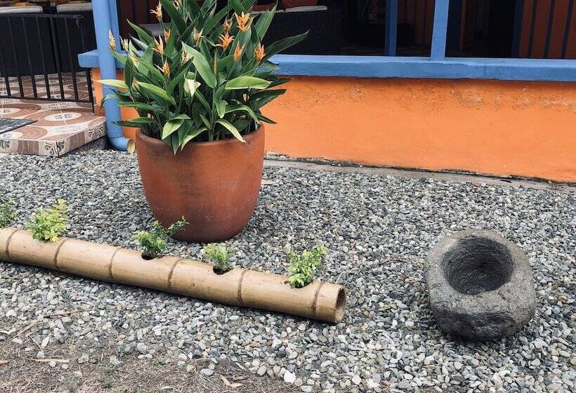 تختخواب و صبحانه Finca Hotel La Estrella Del Edén