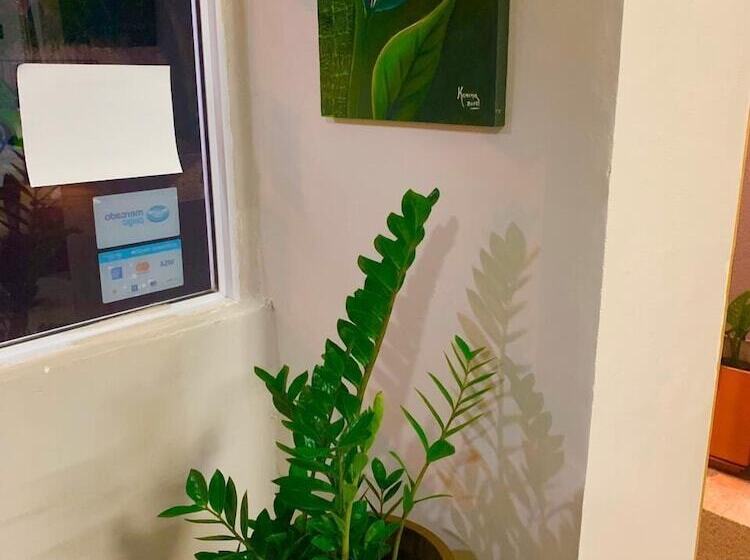 Bed & Breakfast Hosteria Mola