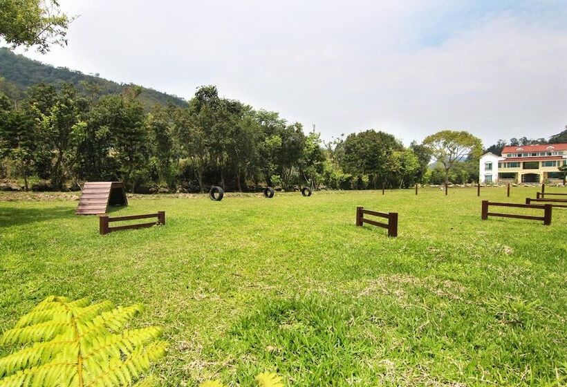 تختخواب و صبحانه Magnni Villa