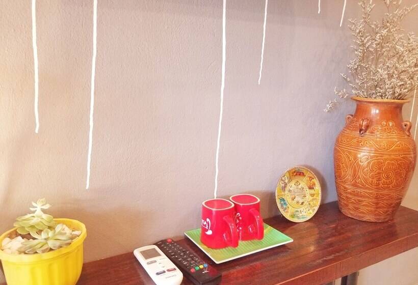 Codo Bee Capsule Garden Hostel