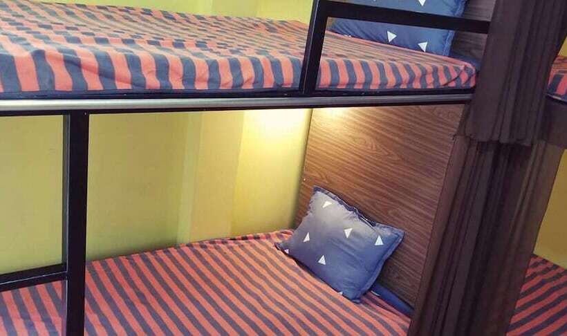 Codo Bee Capsule Garden Hostel