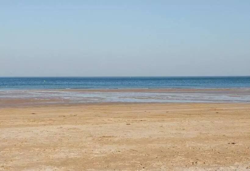 Hafan Traeth