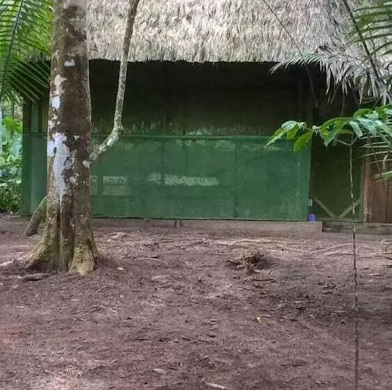 Hotelli Centro Ayaymama Mystic