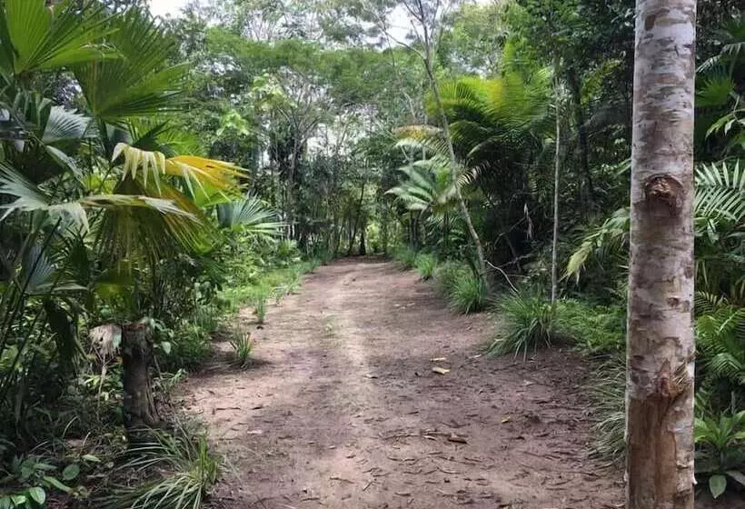 Hotelli Centro Ayaymama Mystic