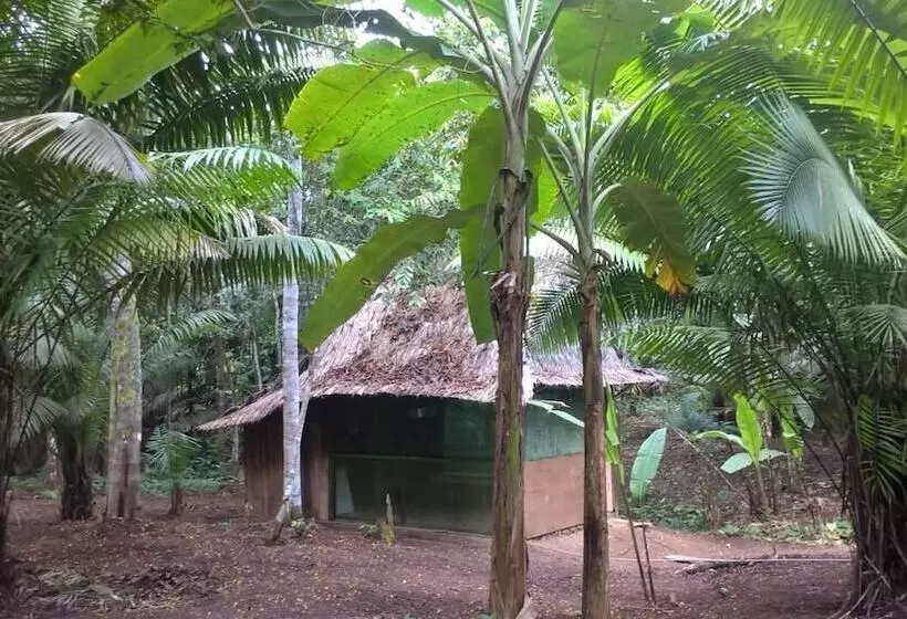 Hotelli Centro Ayaymama Mystic