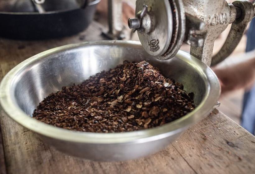 בית מלון כפרי Ditsowou Lodge & Tours