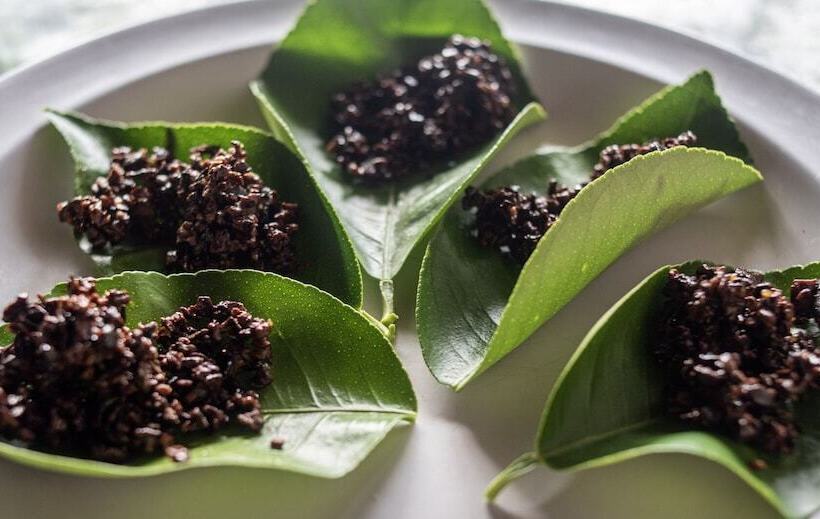 בית מלון כפרי Ditsowou Lodge & Tours