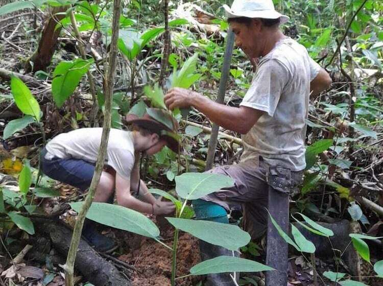 בית מלון כפרי Ditsowou Lodge & Tours