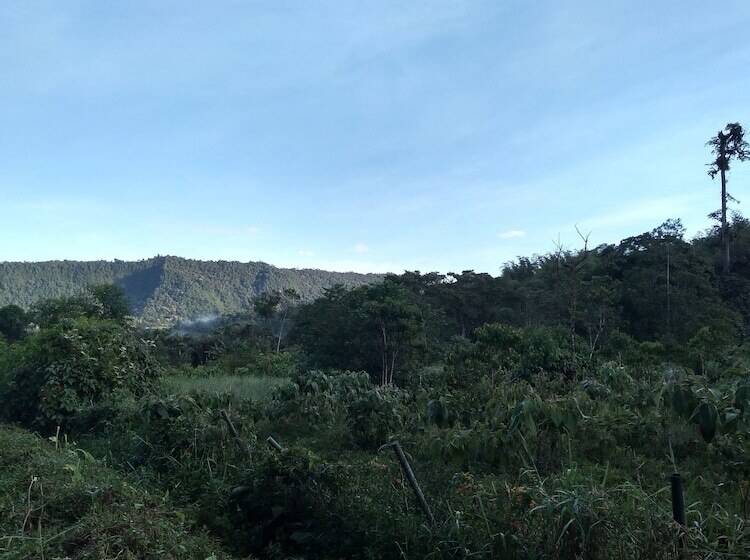 ホテル Hosteria La Roulotte Mindo