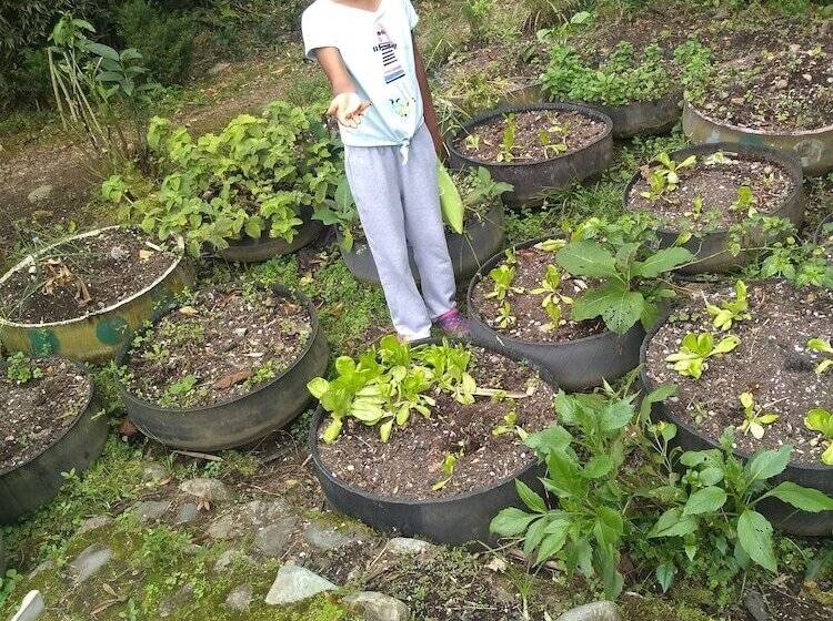 ホテル Hosteria La Roulotte Mindo