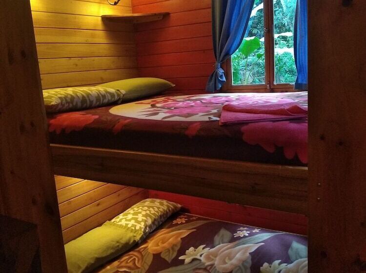 ホテル Hosteria La Roulotte Mindo