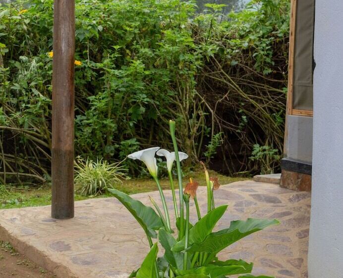 فندق Karungi Camp