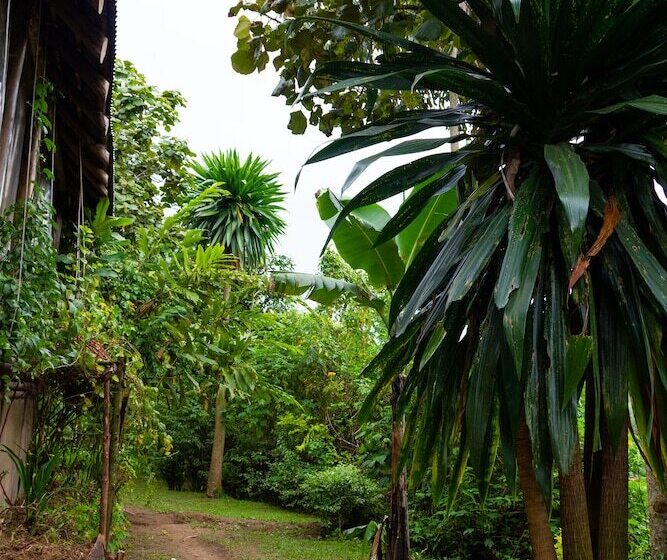 فندق Karungi Camp