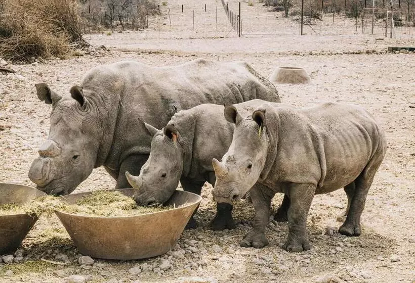 هتل Kifaru Luxury Lodge & Bush Camp