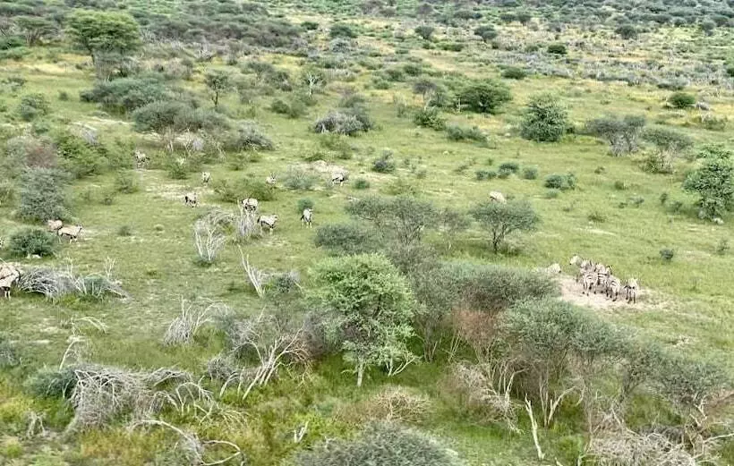 هتل Kifaru Luxury Lodge & Bush Camp