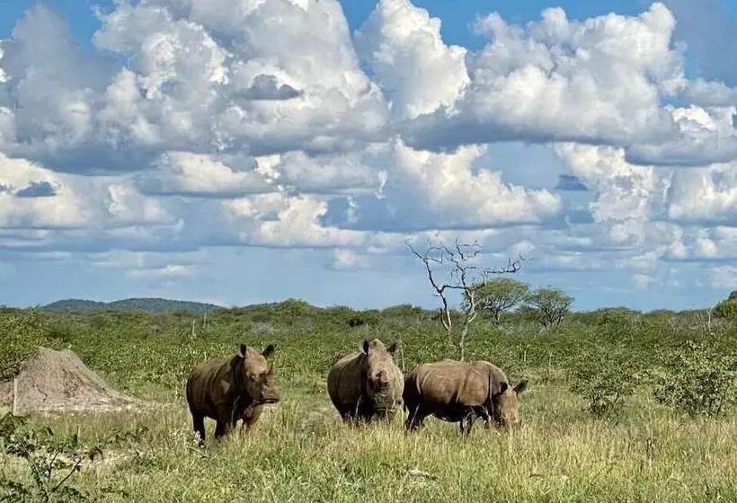 هتل Kifaru Luxury Lodge & Bush Camp