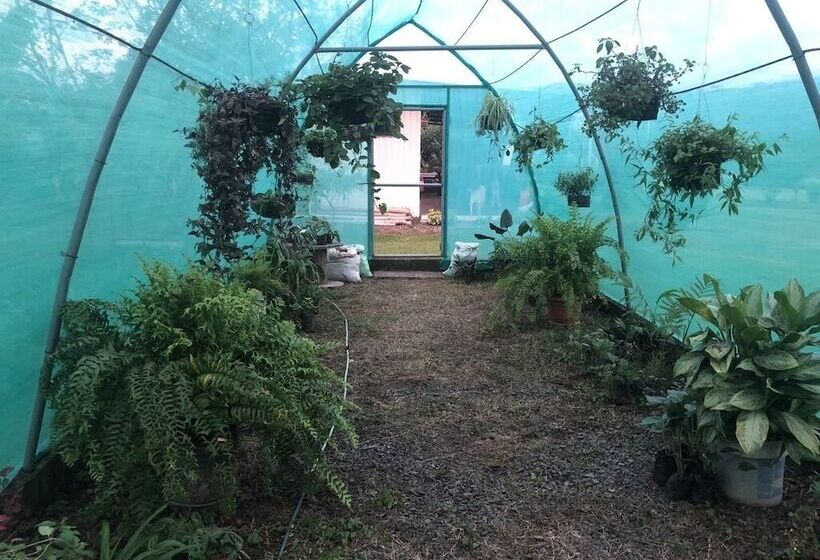 ホテル Posada Cañaveral