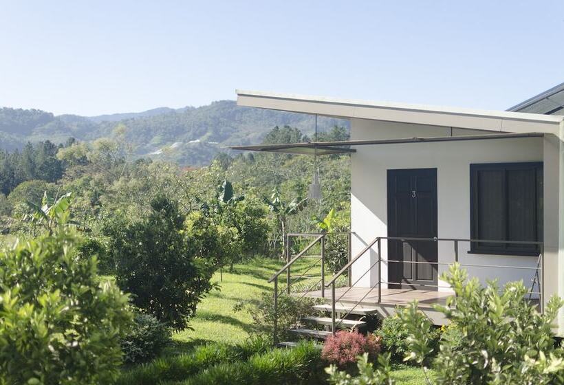 Отель Posada Cañaveral