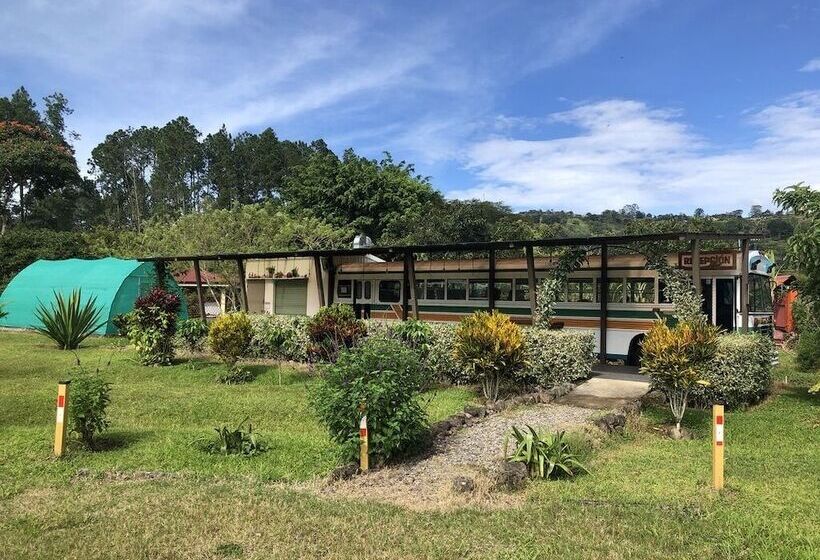 Отель Posada Cañaveral