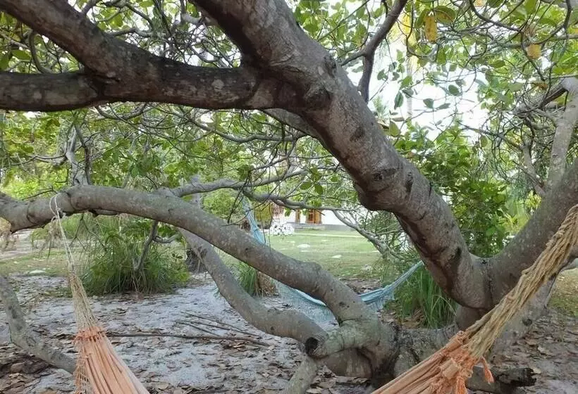 ホテル Pousada Batel