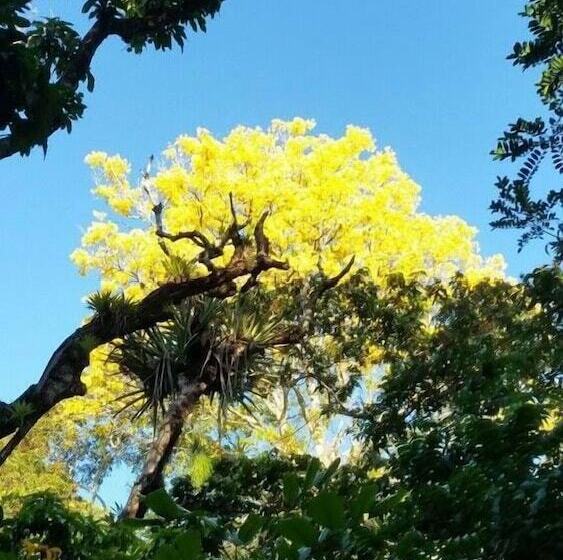 هتل Pousada Cantinho Do Dodo