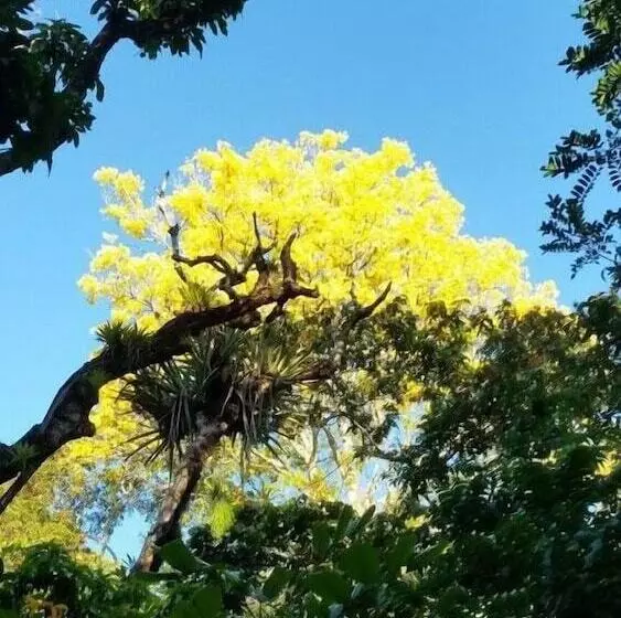 Hotelli Pousada Cantinho Do Dodo