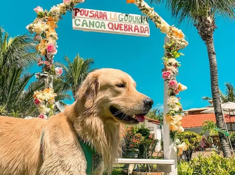 ホテル Pousada La Goduria