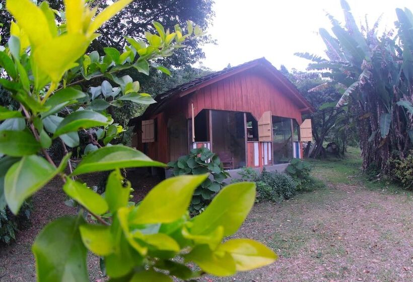 Отель Pousada Signora Del Lago