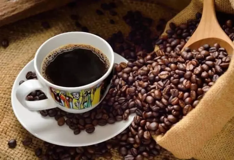 ホテル Ritungu Camp