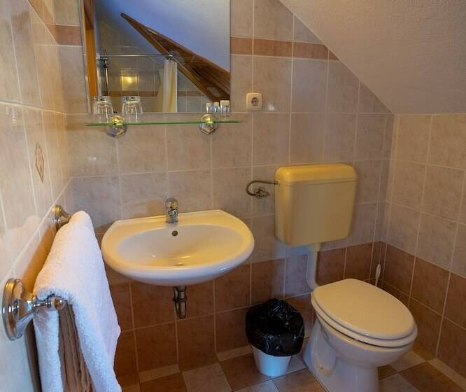 پانسیون Gostilna Logar