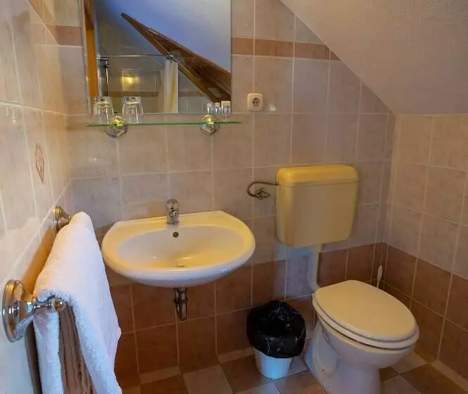 پانسیون Gostilna Logar