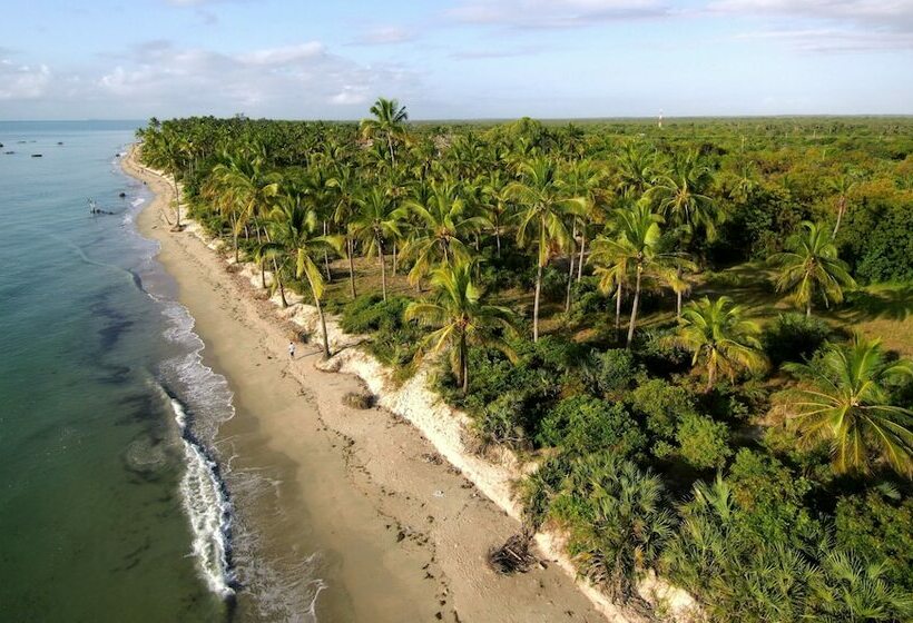 Пансион The Vagabond Lodge