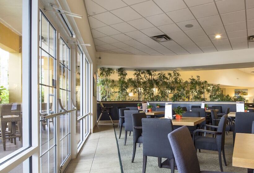 Walkin On Sunshine By Villadirect