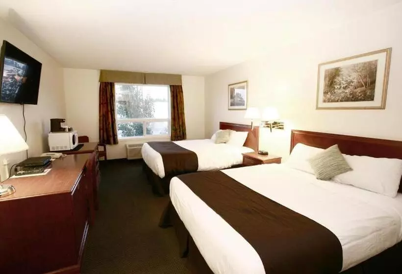 Отель Foxwood Inn & Suites Drayton Valley