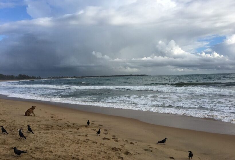 ホテル Water Edge Resort