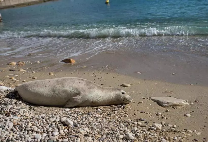 Pension Galazios Kolpos